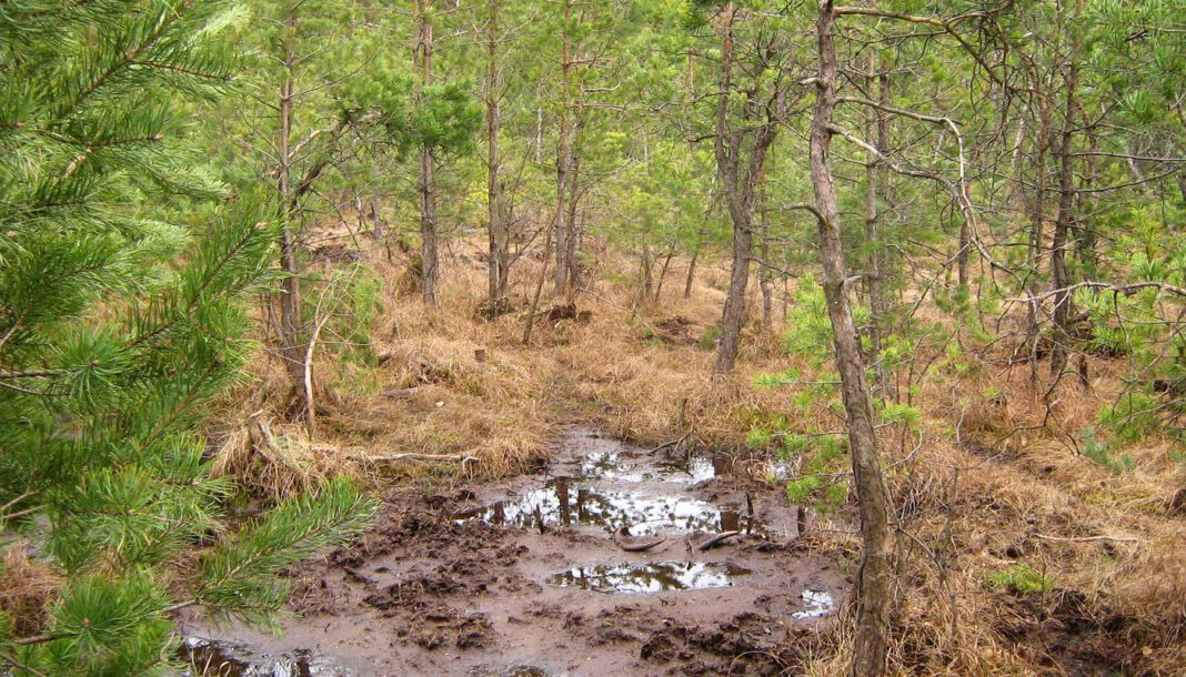 250 Kilogramm Fliegerbombe in Potsdam kontrolliert gesprengt und Sperrungen aufgehoben 250 Kilogramm Fliegerbombe in Potsdam kontrolliert gesprengt und Sperrungen aufgehoben