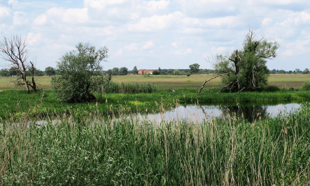 Die Herausforderungen der ländlichen Entwicklung in Brandenburg