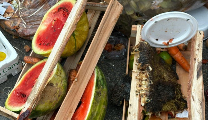 Gefrierschrank statt Tonne: für weniger Müll und mehr Geld im Alltag