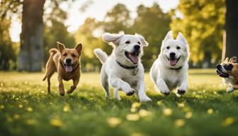 Positive Resonanz auf die neue Hundehalterverordnung in Brandenburg