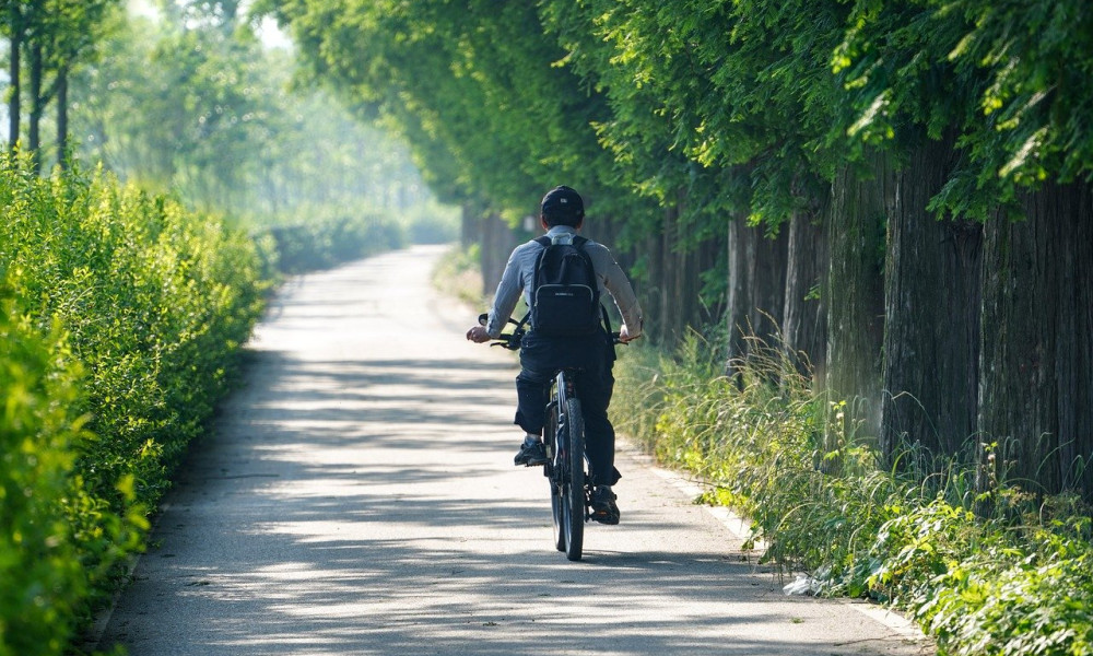 Radfahren in Brandenburg: Von der Havelland-Route bis zur Oder-Neiße-Strecke