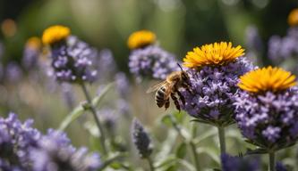 Tipps f%C3%BCr bienenfreundliche Pflanzen im Garten am Weltbienentag