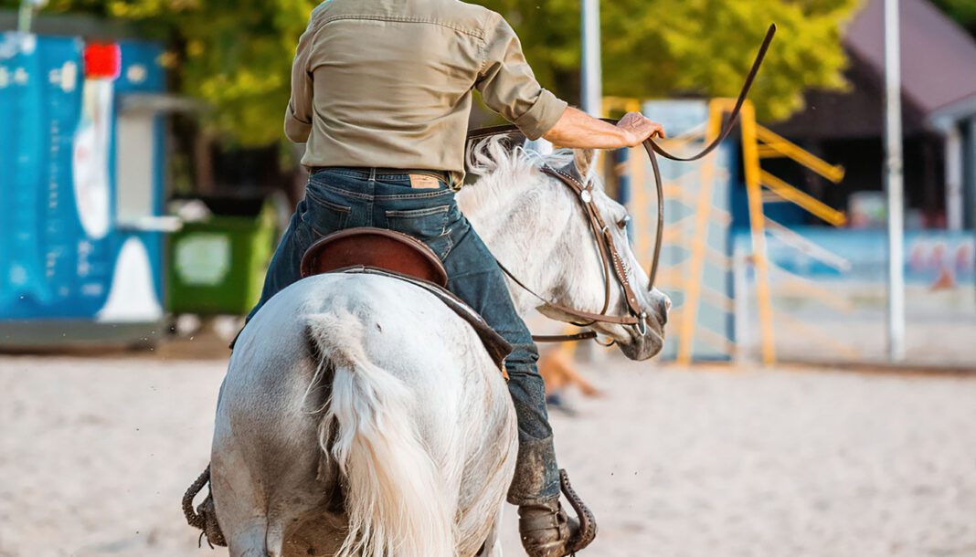 Westernreiter aus drei Bundesländern versammeln sich zur Landesmeisterschaft in Neuruppin