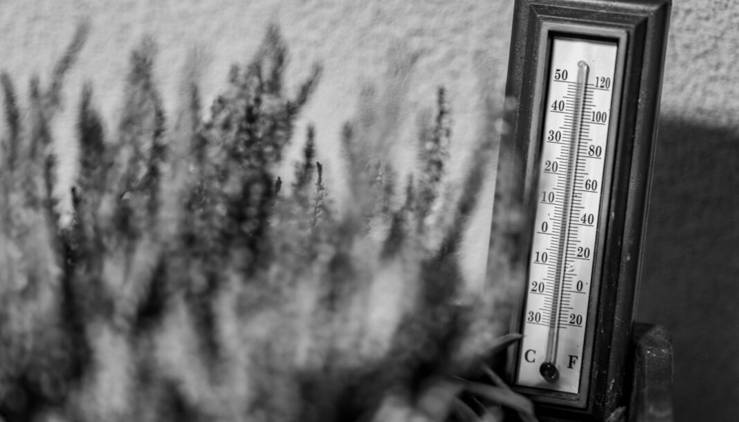Wie Neuruppin sich auf Hitze und Starkregen vorbereitet: Stadtspaziergang soll Klimaanpassung erlebbar machen