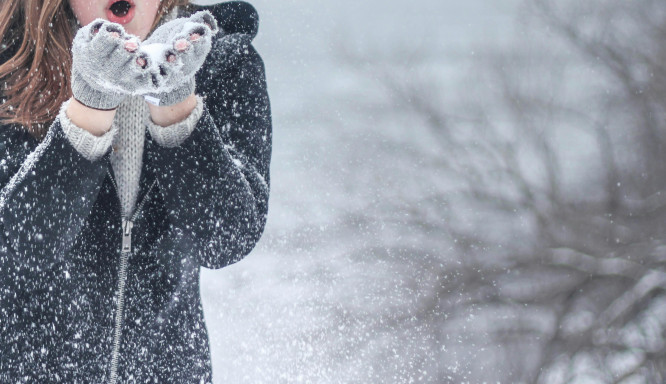 Winter in Brandenburg – Highlights zwischen Seen, Wäldern und Weihnachtsmärkten